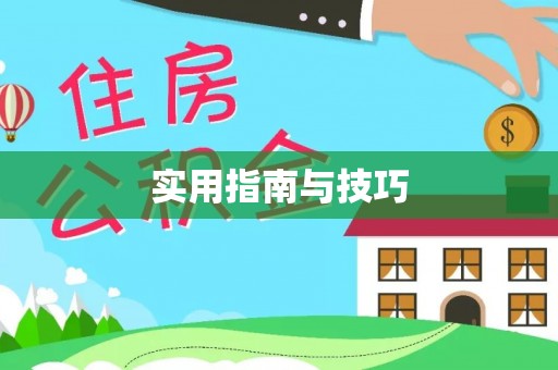 大足实用指南与技巧