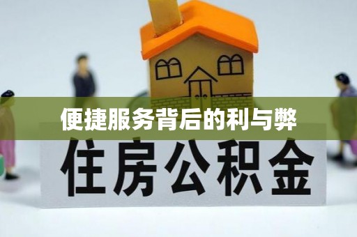 大足便捷服务背后的利与弊