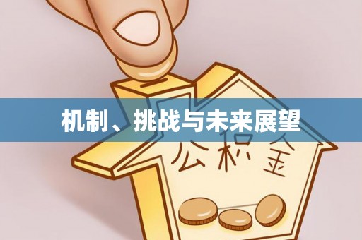大足机制、挑战与未来展望