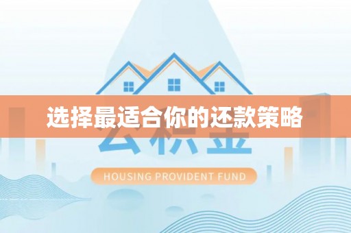 大足选择最适合你的还款策略