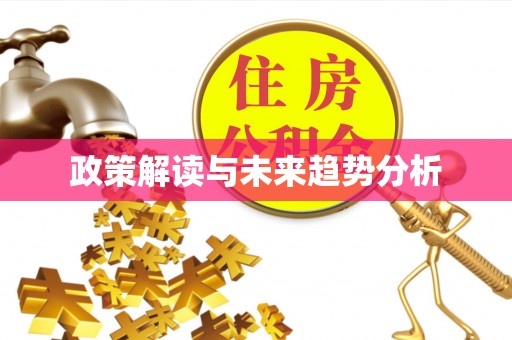 大足政策解读与未来趋势分析