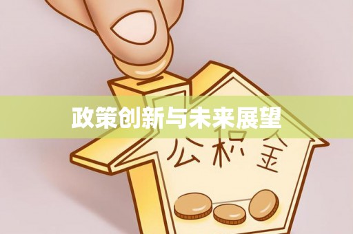 大足政策创新与未来展望