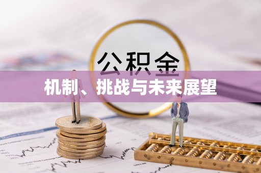 大足机制、挑战与未来展望