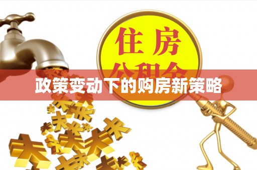 大足政策变动下的购房新策略