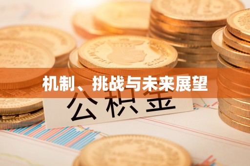 大足机制、挑战与未来展望